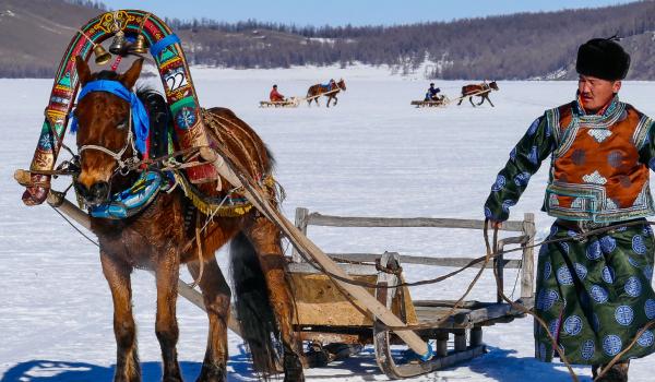 Trek et course de traineau à cheval sur le Khövsgöl gelé