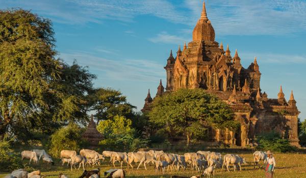 Immersion dans la vie autour des temples de Bagan en Birmanie Centrale