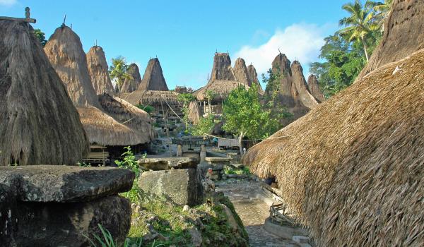 Randonnée vers un village traditionnel sumbanais sur l'île de Sumba