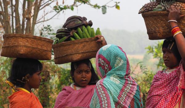 Randonnée avec des villageoises dongria kondh vers un marché de l'Orissa