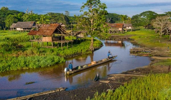 Voyage vers la région du fleuve Sepik du côté d'Angoram