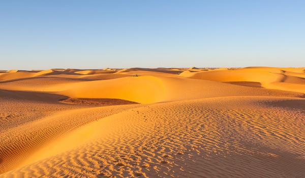 Trekking sur une étendue de petites dunes de l'Adrar