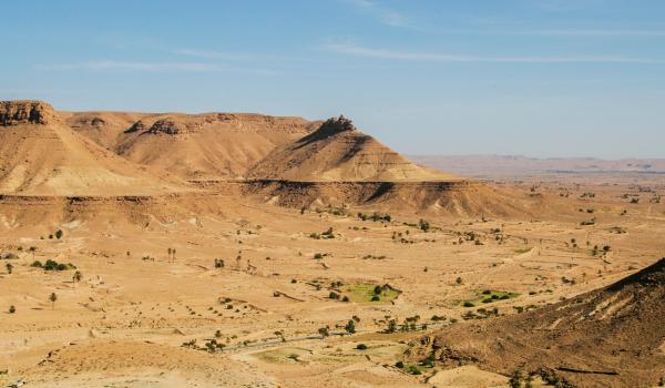 Trek sur un plateau du désert avec palmiers en Tunisie