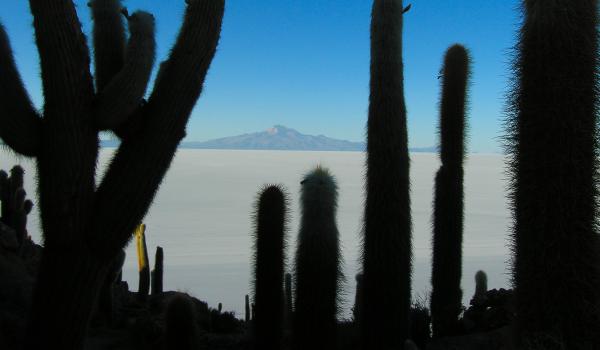 Salar d'Uyuni en Bolivie

Salar d'Uyuni en Bolivie