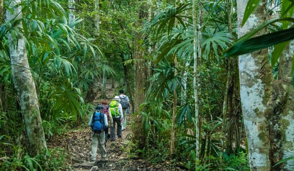 Trek de El Mirador dans le Petén au Guatemala