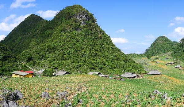 Trekking dans le massif de Thong Nong tout au nord du Vietnam