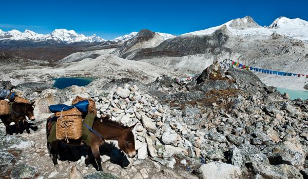 Col du Rinchenzoela à 5300 m pendant le Snowman trek au Bhoutan