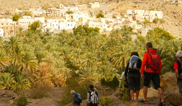 Trekking vers la palmeraie de Bidah le long du wadi Bani Khalid