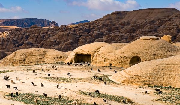 Randonnée vers les anciennes tombes nabatéennes devenues bergeries près de "Petite Pétra"