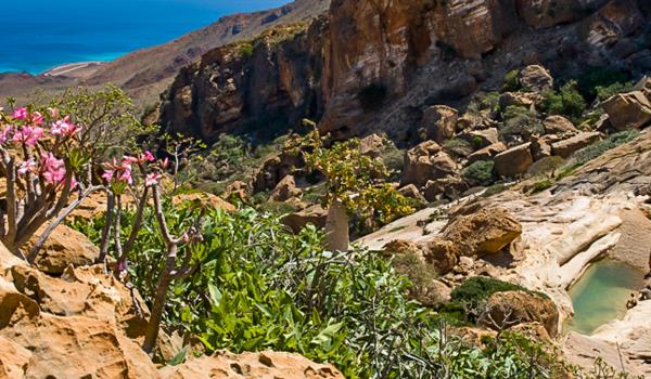 Comtemplation d'un paysage ouvrant sur la Mer d'Arabie à Homlil