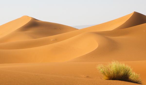 Trekking sur des dunes au oranges à Merzouga