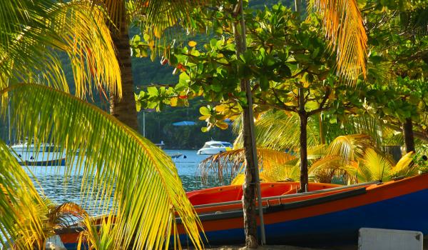 Randonnée à Grande Anse d'arlet en Martinique