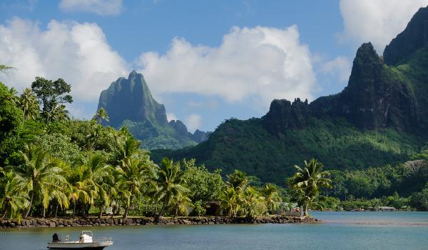 Excursion en bateau dans la baie de Cook à Moorea