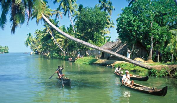 Navigation à travers les Backwaters du Kerala dans la région d'Alleppey