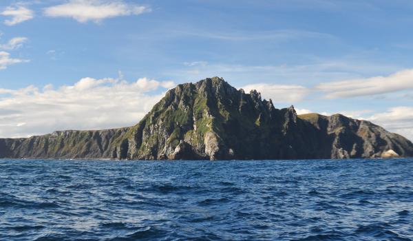 Croisière dans les canaux de Patagonie et Cap Horn