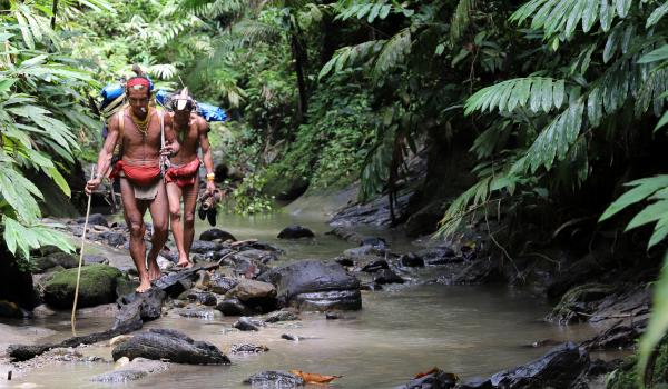 Trek avec des chamans mentawaï vers la région des Sakuddei sur l'île de Siberut