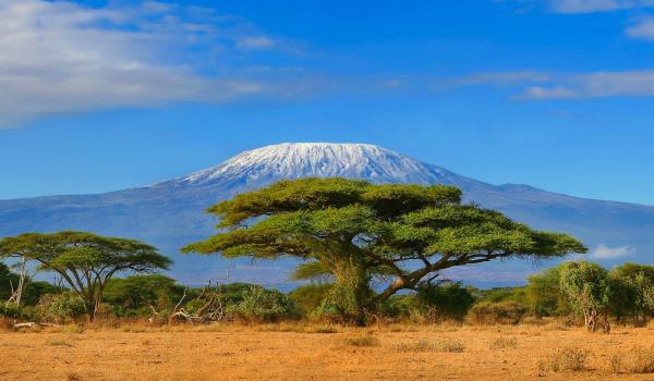 Trek au Kilimanjaro en Tanzanie