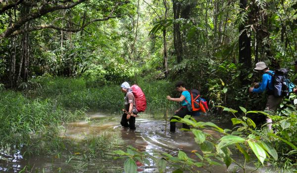 Trekking entre Long Pasia et Long Semadoh entre Sabah et Sarawak