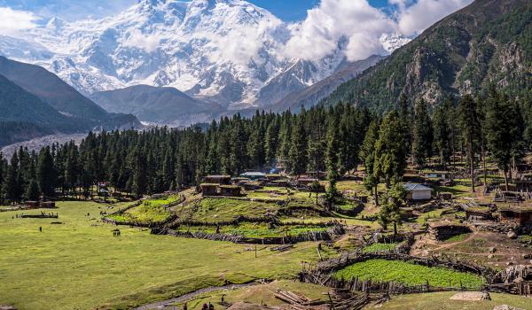 Trek vers la vallée de Fairy Meadows au pied du Nanga Parbat au Pakistan