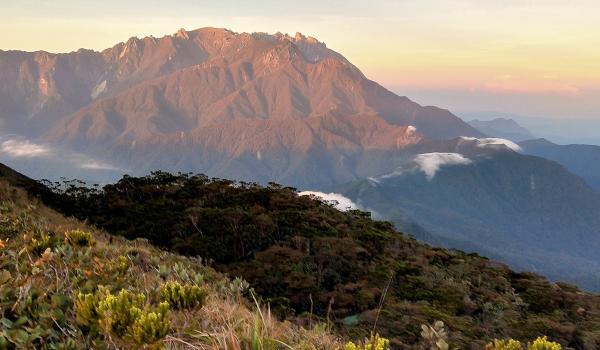 Trekking sur les pentes du Mont Tambuyukon dans l'état de Sabah