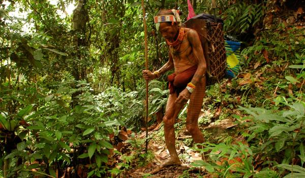Trek vers la vallée d'Attabai sur l'île de Siberut