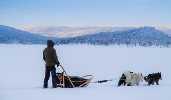 Voyage en traineau et ambiance nordique en Laponie