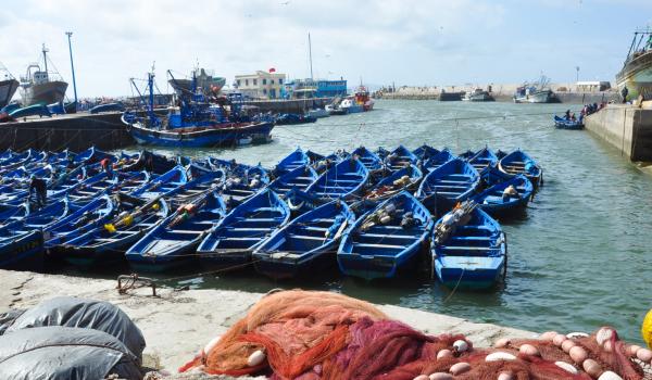Découverte du port de pèche d'Essaouira