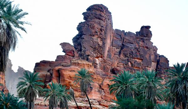 Randonnée dans le Wadi Disah