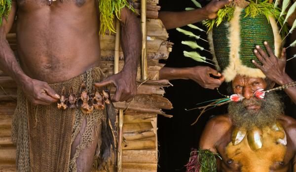 Voyage vers les préparatifs d'une cérémonie chez les Kalam dans les montagnes de Simbai