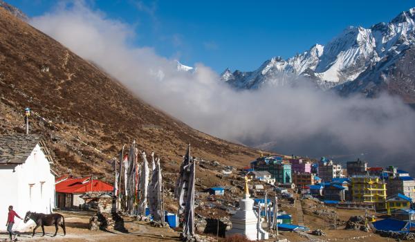 Trek dans la vallée du Langtang