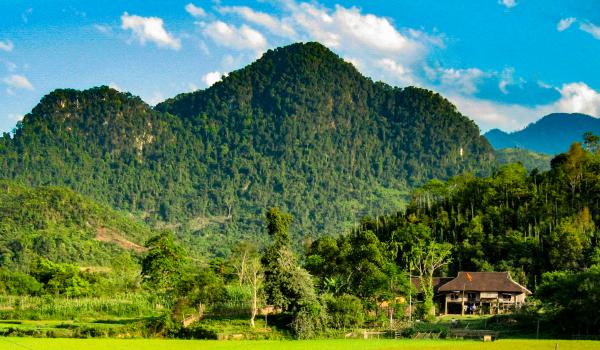 Trekking vers les rizières et paysage karstique dans les montagnes du nord Vietnam