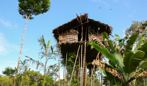 Trekking vers une maison perchée du peuple korowai dans les forêts du sud de la Papua