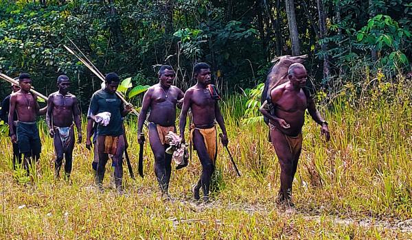 Découverte d'un retour de chasse des Papous Keuw  au nord de la Papouasie indonésienne