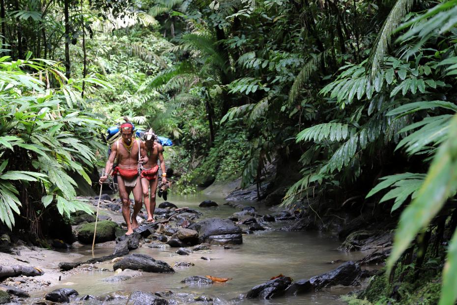 Trek - Traversée de l\'île de Siberut vers le clan des Sakuddei et retour par la vallée d\'Attabai