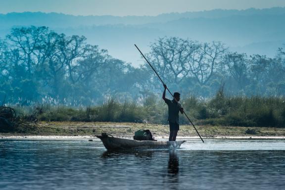 Parc national de Chitwan dans le Terai au Népal