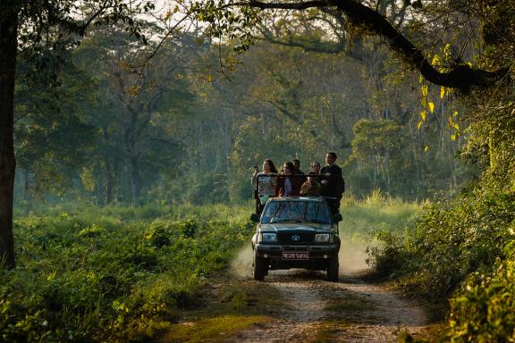 Parc national de Chitwan dans le Terai au Népal