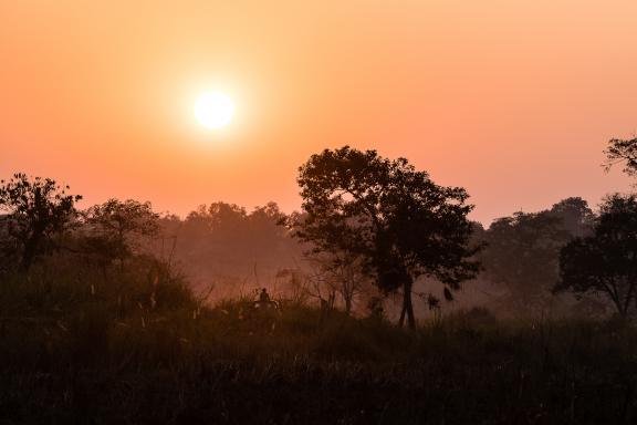 Parc national de Chitwan dans le Terai au Népal