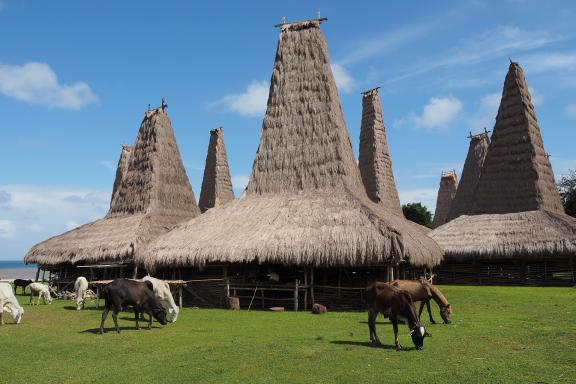 Maisons traditionnelles à Sumba en Indonésie 