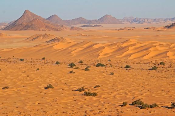 Plateau et dunes en Algérie