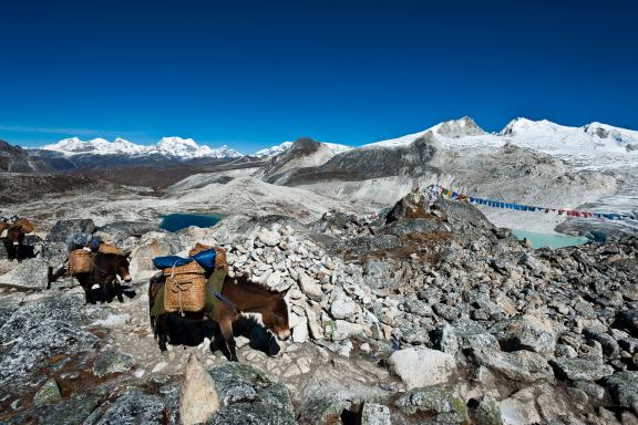 Col du Rinchenzoela à 5300 m pendant le Snowman trek au Bhoutan