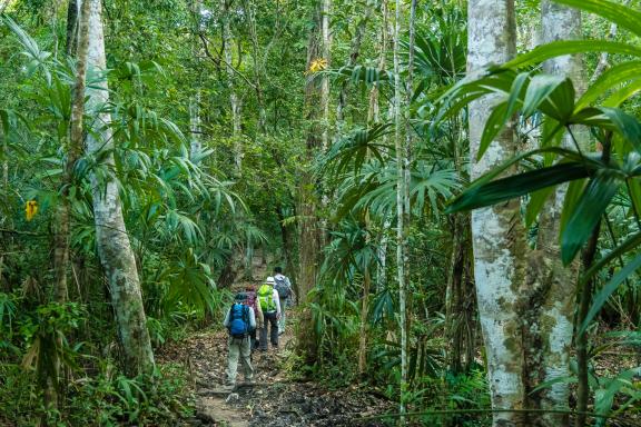 Trek de El Mirador dans le Petén au Guatemala