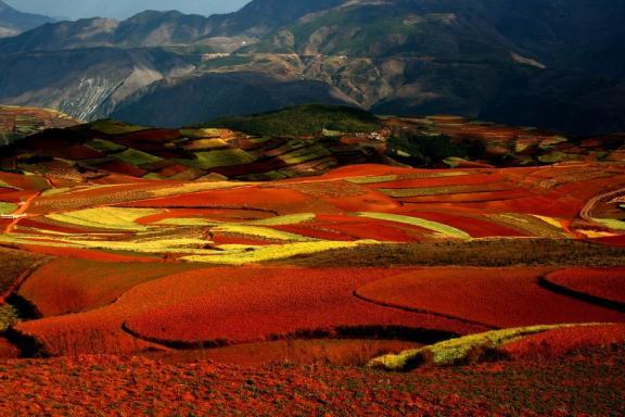 Terres colorées de la région de Dongchuan et Lexiago au Yunnan