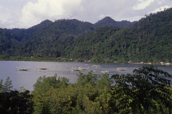 Randonnée le long de la côte océane au sud de l'île de Sumatra