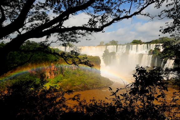 Les chutes d'Iguazu