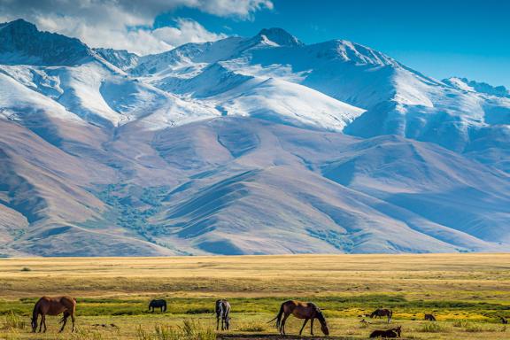 Vallée de Suusamyr © Damien Tracoulat