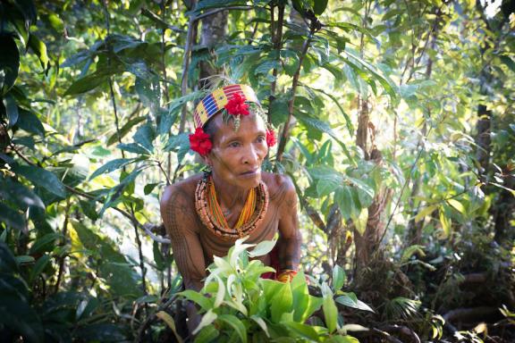 Cueillette en forêt avec un chaman en Indonésie