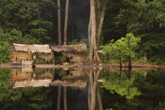 Habitation dans la foret au Congo