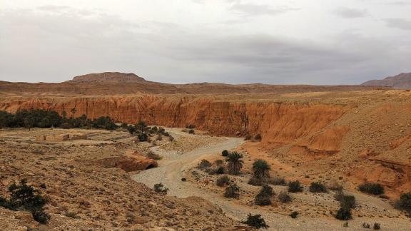 Vers le désert nord oriental d'Algérie