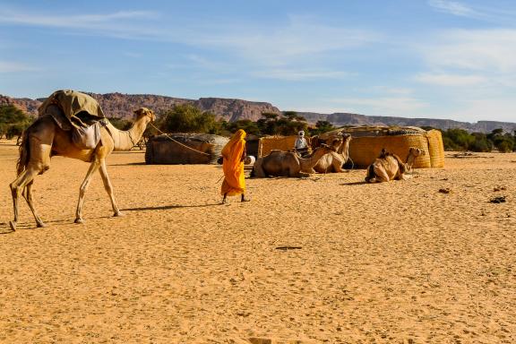 Voyage et encontre avec des nomades Zaguawa dans l'Ennedi
