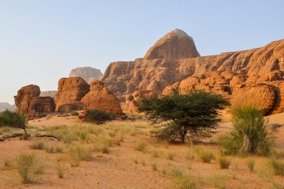 Trekking dans une plaine rocheuse et végétation de l'Ennedi